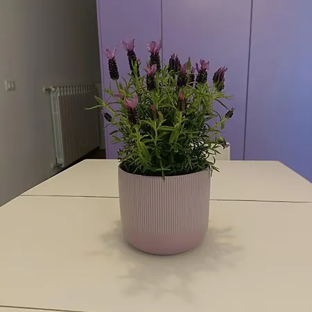 Apartment Lilla Loft *
